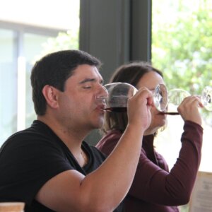 Clients enjoying a wine-tasting experience at Casa Relvas in the Alentejo region.