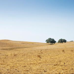 Alentejo region