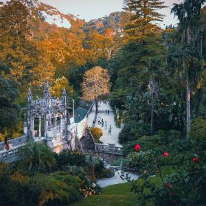 Quinta da Regaleira visita guiada