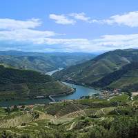 Vale do Douro: um tour deslumbrante a partir do Porto