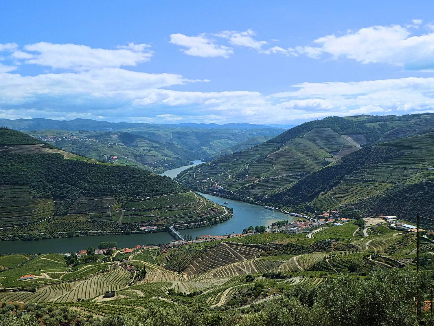 Douro valley private tour