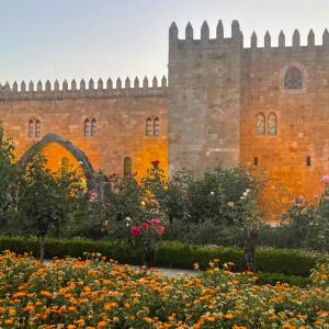 Jardim de Santa Barbara, Braga