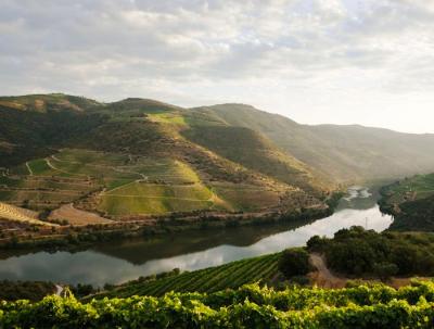 Douro Trip