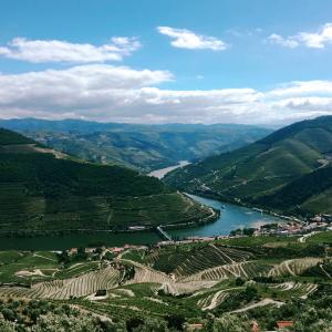 Private Douro Valley Tour