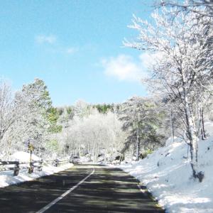 Serra da Estrela