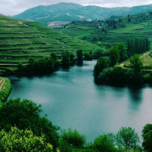 Valley Douro Wine Slopes