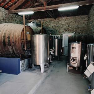 Wineray Douro and Porto Wines