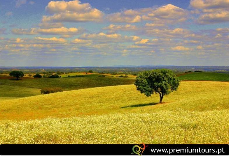 Alentejo-Portugal-Tours
