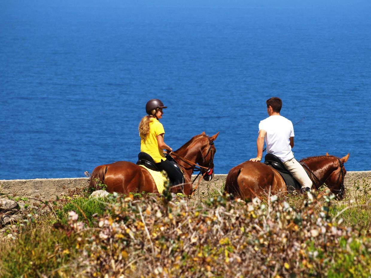 Cavalo Lusitano (7)