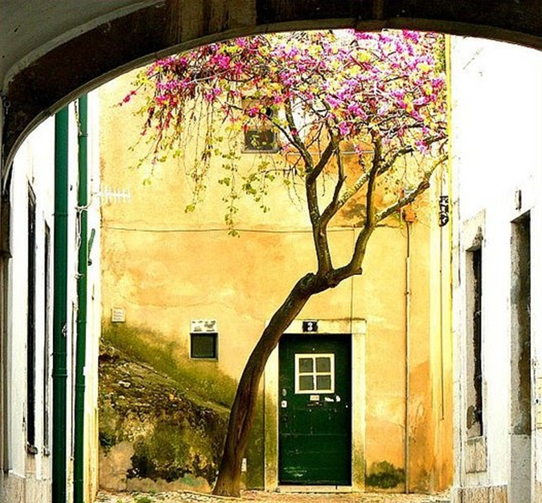 04. Alfama