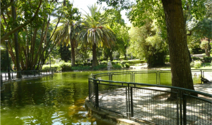 Jardim da Estrela