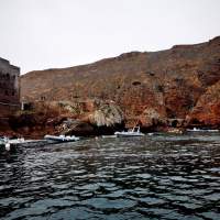 tour privado berlengas