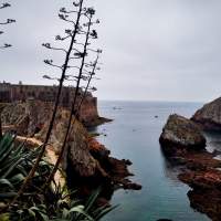 tour privado ilha berlengas e peniche