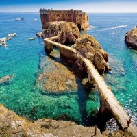 Berlenga Island: a Paradise of Nature