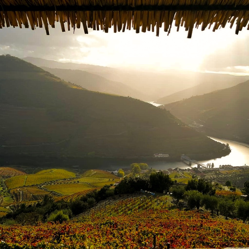 Douro Valley in Portugal