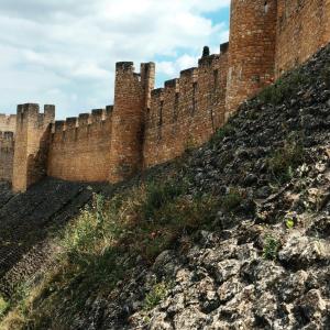 Tomar Castle