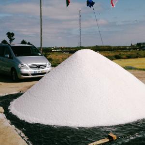 Aveiro salines tour