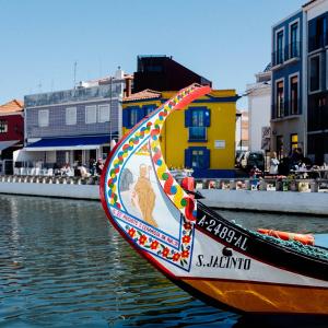 Moliceiro boat tour