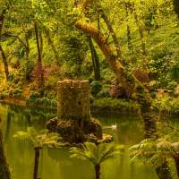 rashid-khreiss-sintra garden views