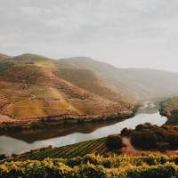 Douro valley private tour