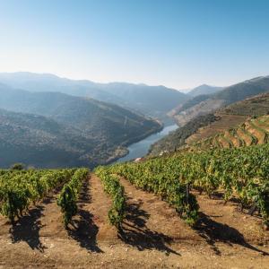 Douro