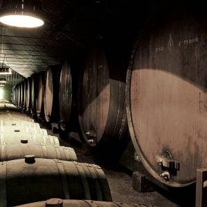 Tour wine cellar