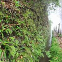 ¡La isla Madeira se está reinventando a sí misma!