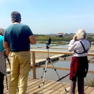 Birdwatchers