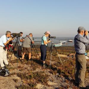 Birdwatching's equipment