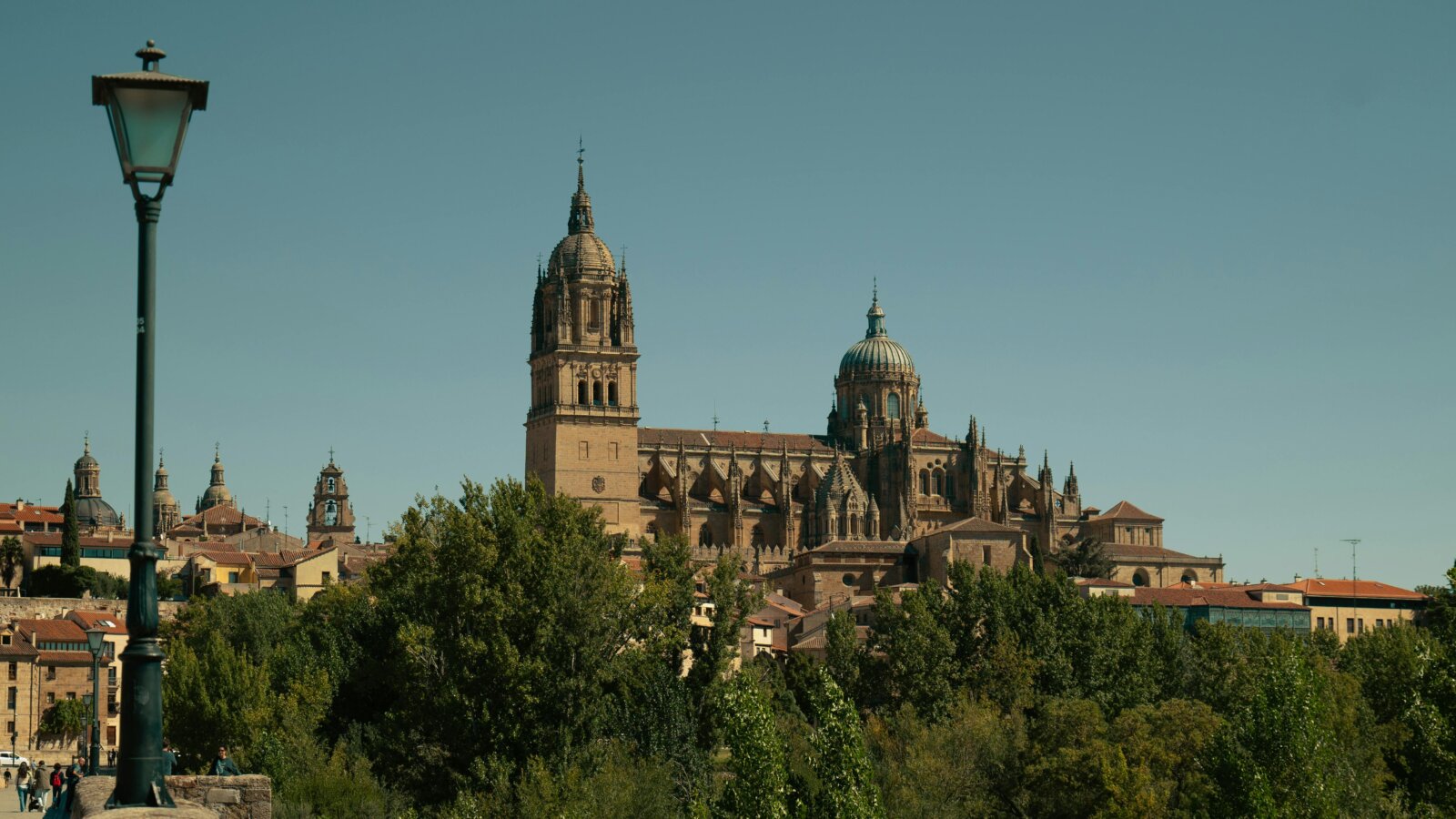 Panoramic view of the New Cathedral of Salamanca, Spain, showcasing its Gothic and Baroque architecture, surrounded by historic rooftops and trees — a must-see landmark on cultural tours in Castile and León.