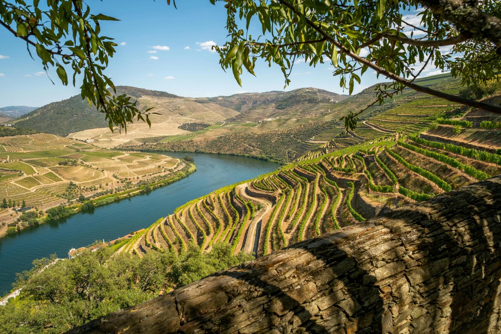 Unique thing to know about Porto, Portugal: the Douro Valley