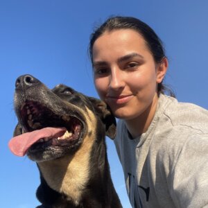 Our Partnership with Heart4Paws